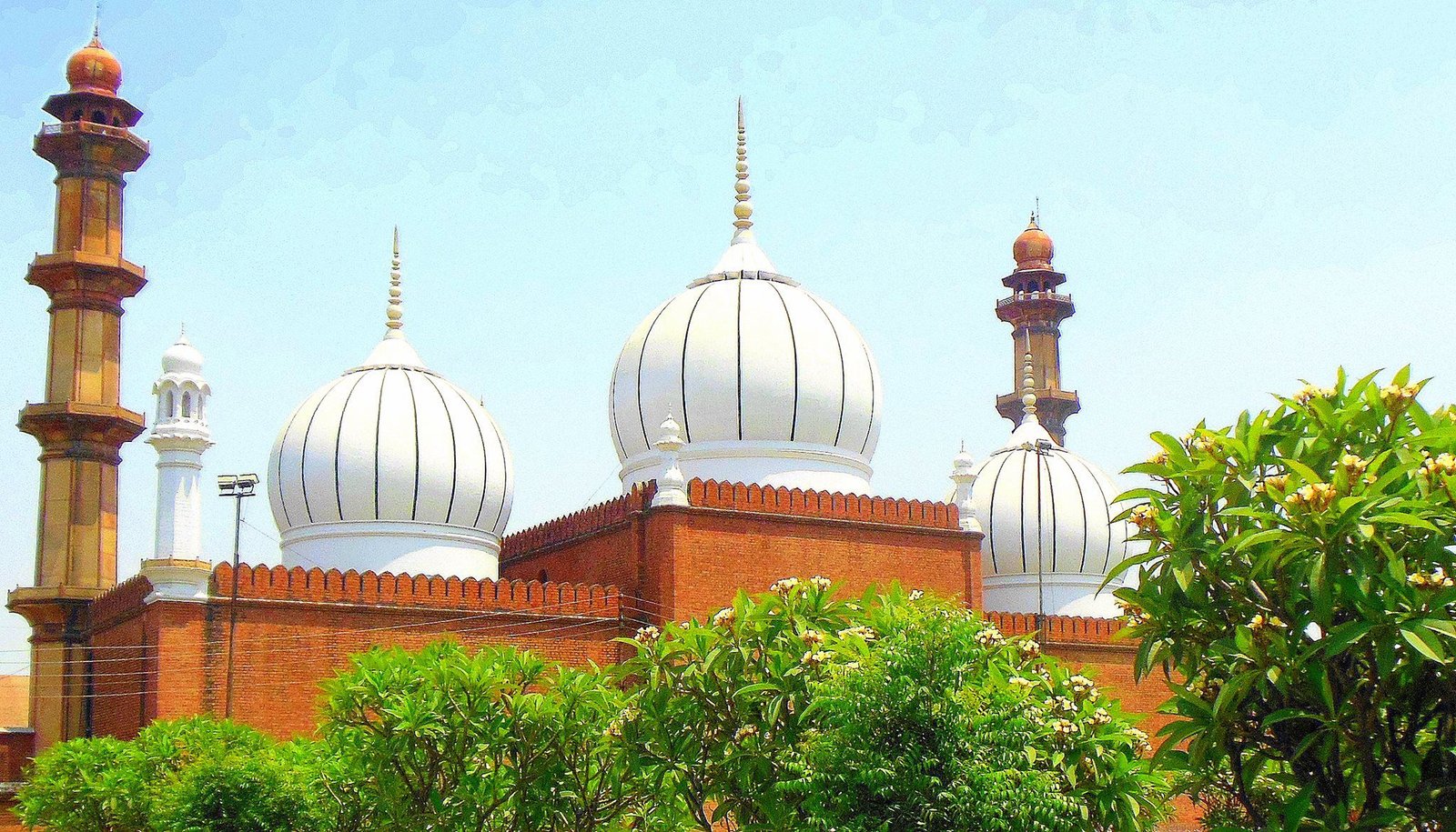 अरीबा और बसरा ने ‘लैंगिक असमानता के लिये पैतृकवाद जिम्मेदावाद’ प्रतियोगिता में लहराया परचम