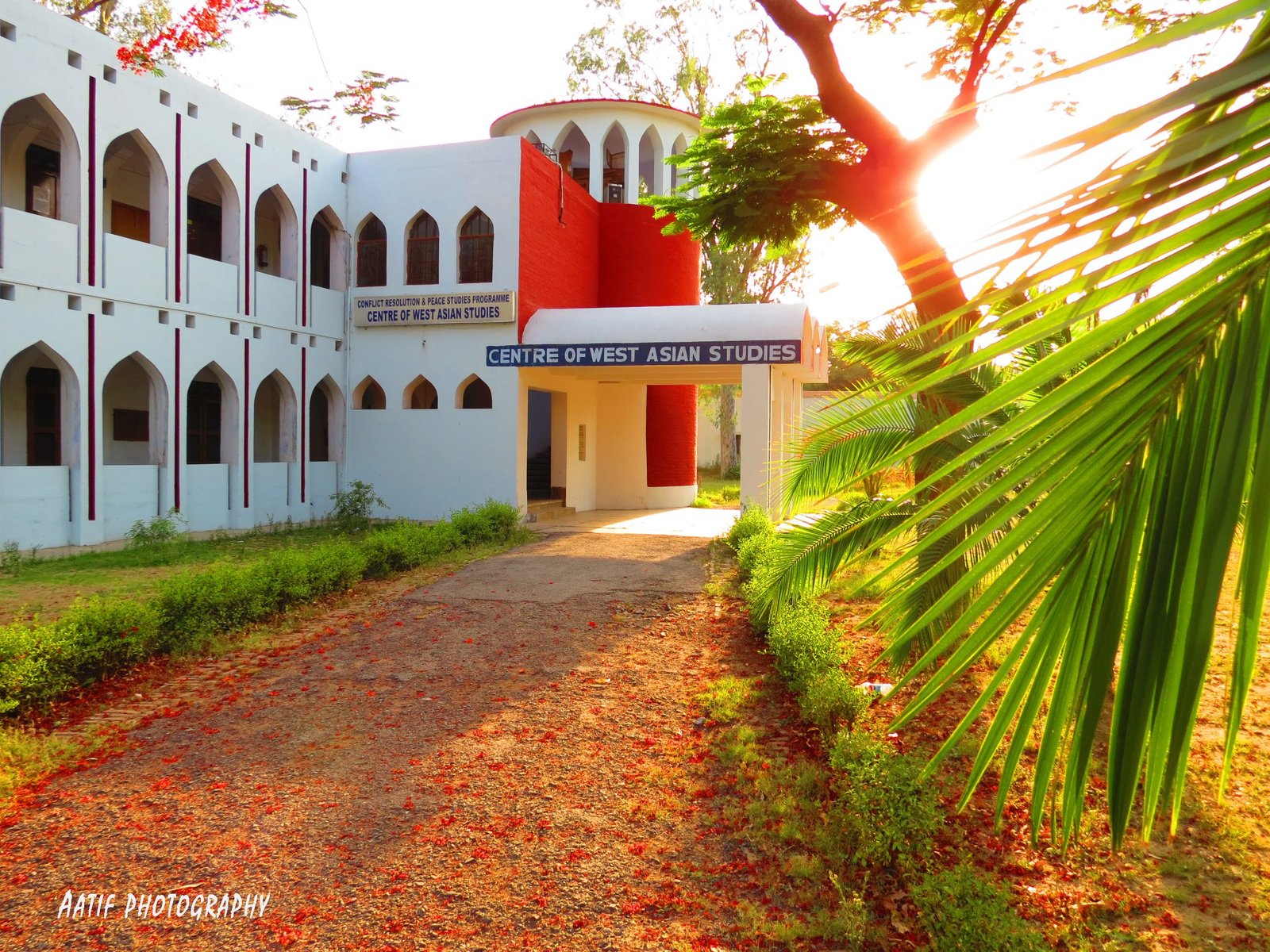 चार सदस्य सीनियर सेकेंड्री एजूकेशन बोर्ड के सदस्य नियुक्त