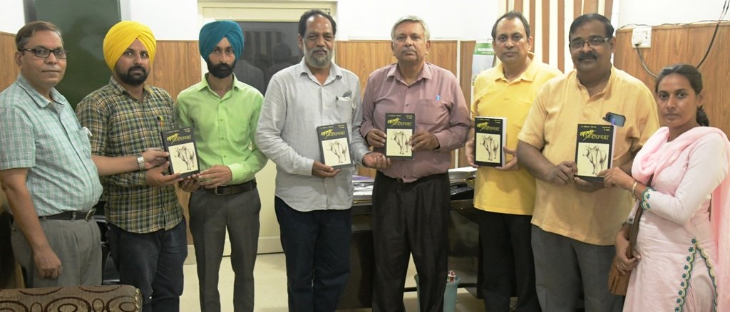 जीवन की भावनाओं और सामान्यताओं से जुड़ने का नाम है ‘कहानी नया पंजाब’